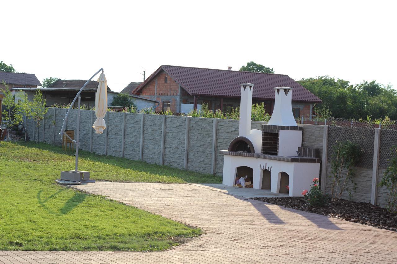 Pensiunea Gradina Verde Becicherecu Mic Luaran gambar