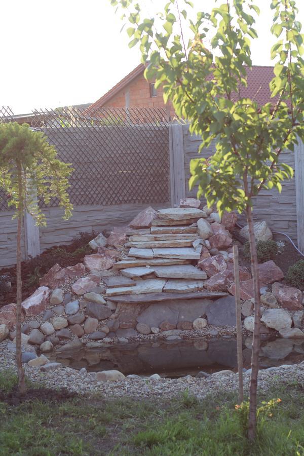 Pensiunea Gradina Verde Becicherecu Mic Luaran gambar