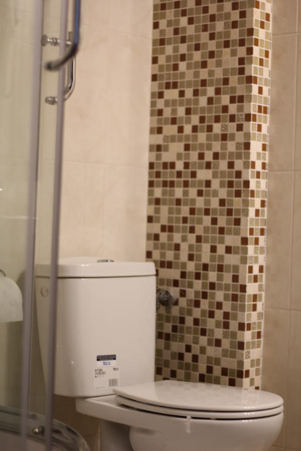 Pensiunea Gradina Verde Becicherecu Mic Luaran gambar