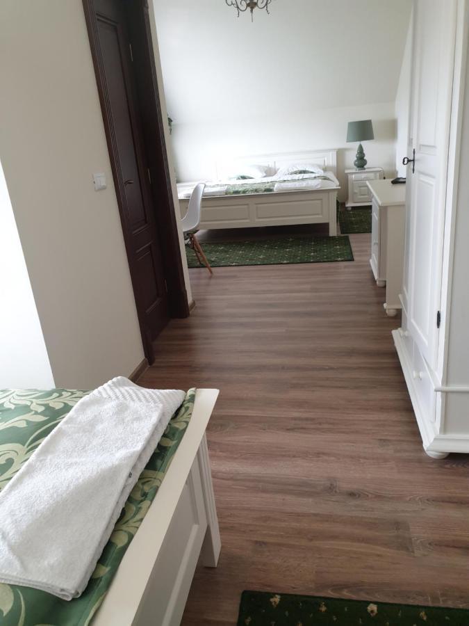 Pensiunea Gradina Verde Becicherecu Mic Luaran gambar